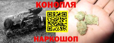 сатива Будённовск