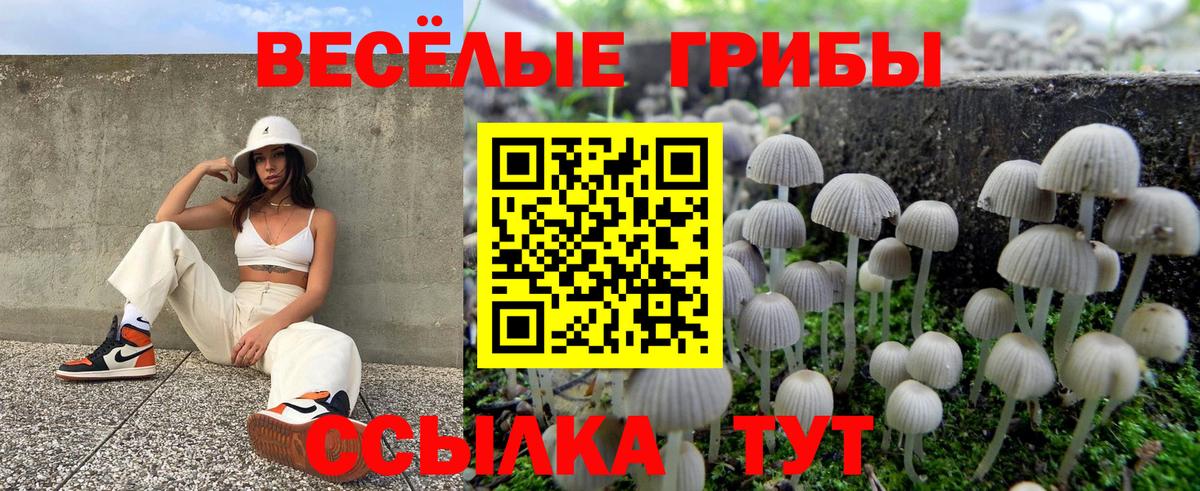 Ростов-на-Дону  магазин продажи   Вход с VPN  Галлюциногенные грибы Psilocybine cubensis  Псилоцибиновые грибы MAGIC MUSHROOMS 