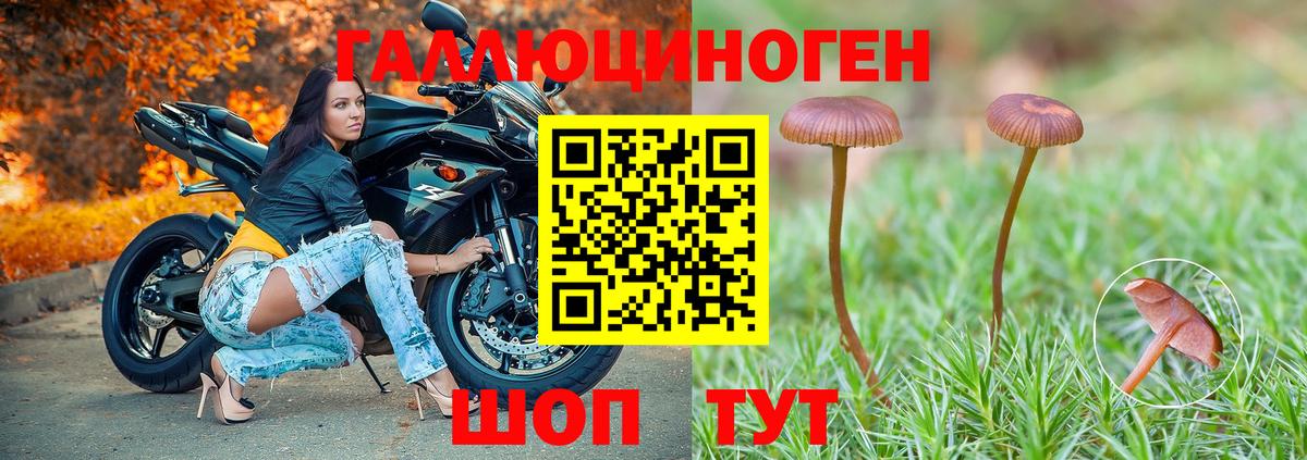 Галлюциногенные грибы GOLDEN TEACHER Ростов-на-Дону
